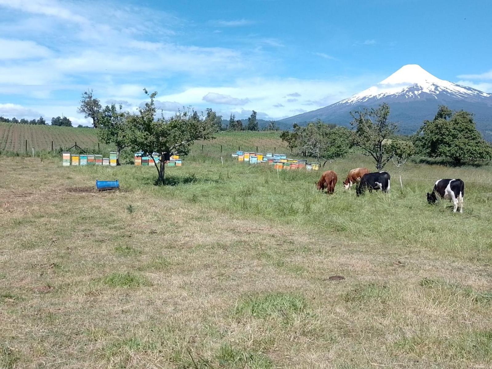 La Posada Del Colono Puerto Clocker Екстериор снимка